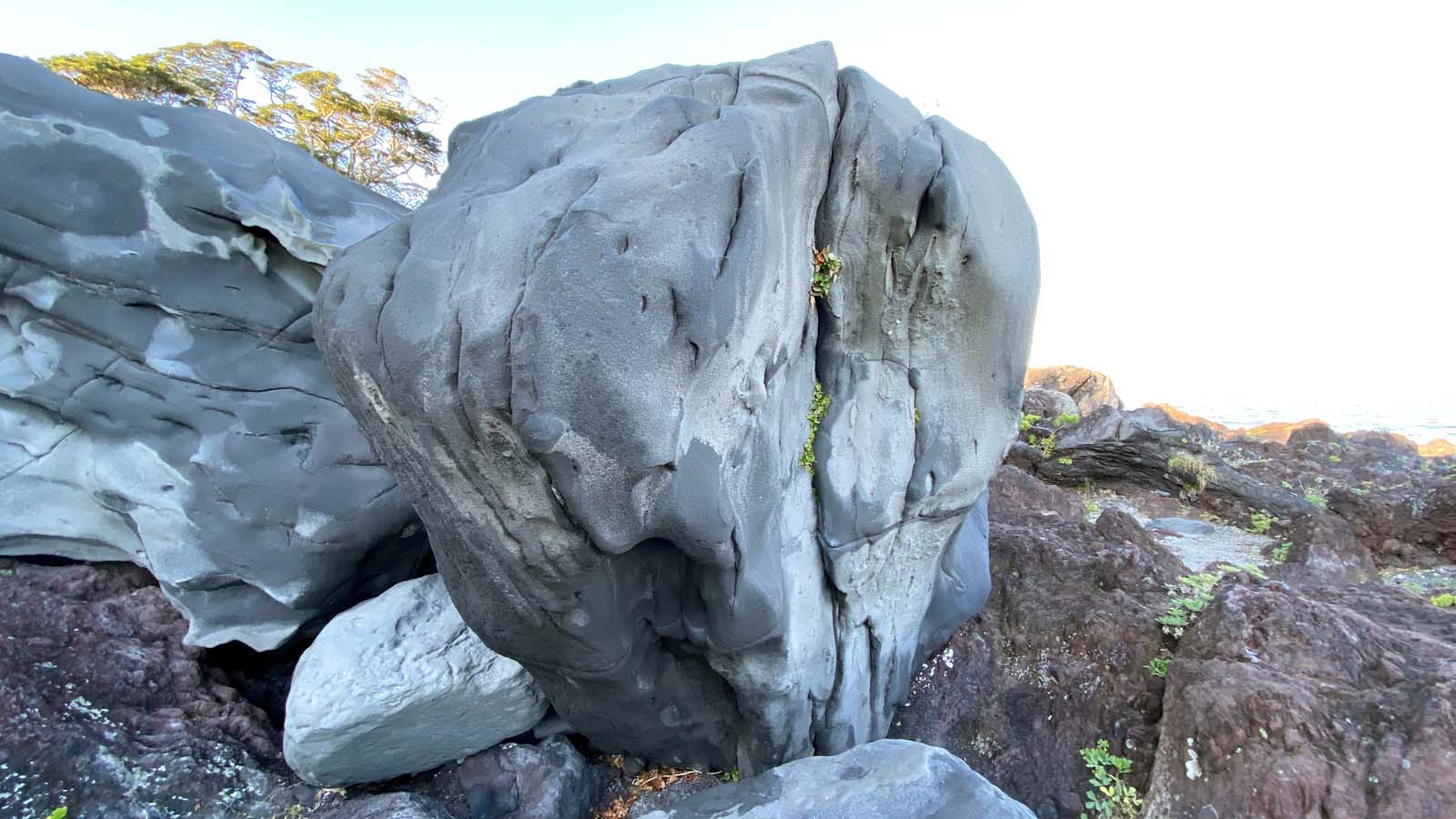 カピバラ岩