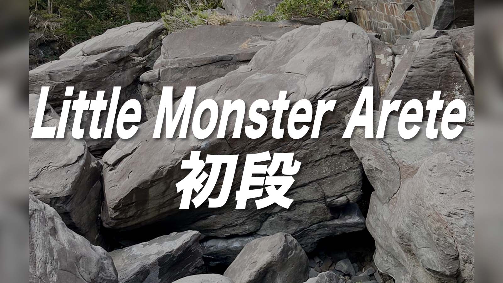 Little Monster Arete 初段