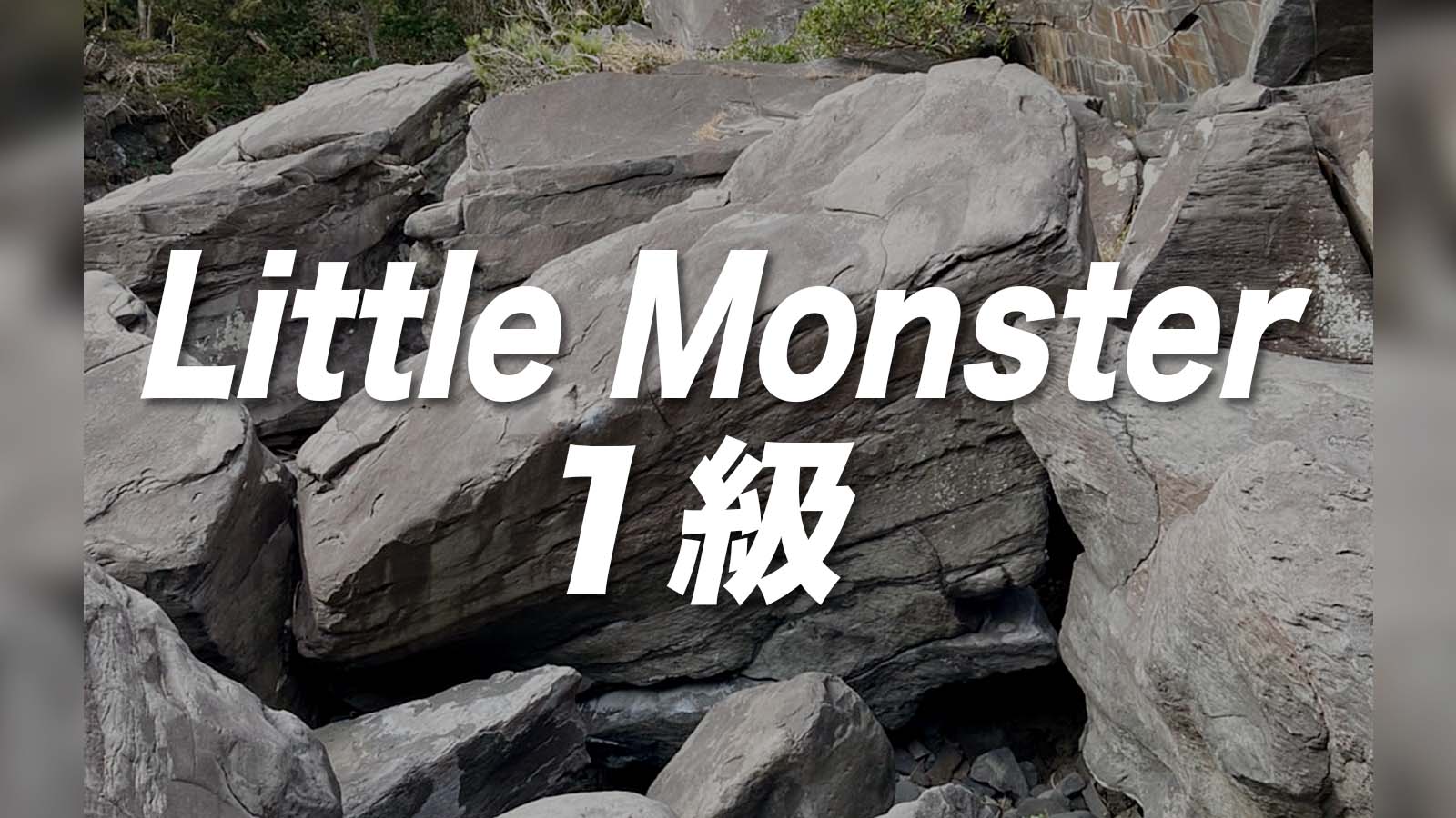 Little Monster 1級